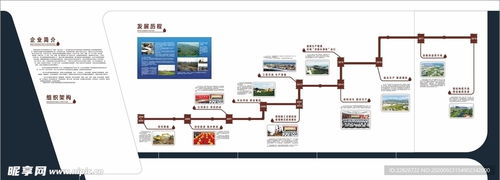 ?？谲浖_(kāi)發(fā)在石油公司發(fā)展歷程中的關(guān)鍵作用