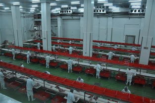 一個(gè)項(xiàng)目能否支撐羅牛山股價(jià)？海口軟件開發(fā)成關(guān)鍵焦點(diǎn)